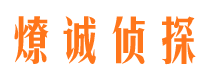 高陵调查取证